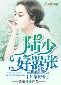 独家蜜爱陆少心尖宠妻免费阅读