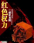 红色权力陆铮