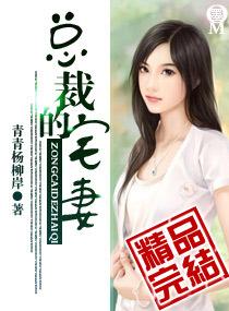 总裁的宅妻全文阅读