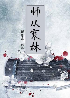 从师啥意思