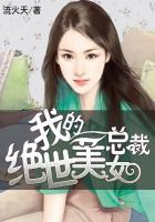 我的绝世美女总裁萧飞