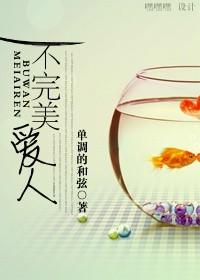 不完美爱人在线电视剧完整版