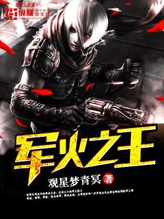 军火之王完整版在线观看