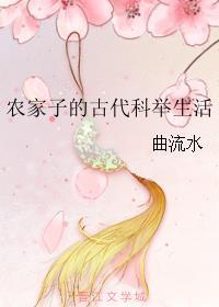 农家子的科举生活免费阅读