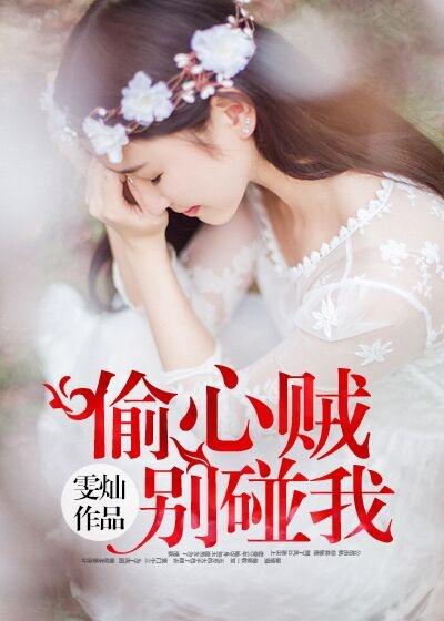 偷心贼的意思