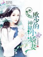 一婚二宝:欧少的神秘娇妻