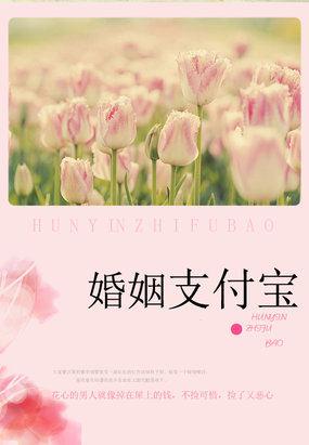 妻子的秘密:婚姻支付宝