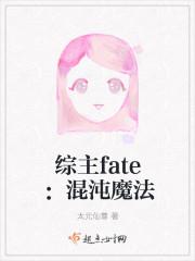 综主fate:混沌魔法
