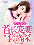 重生宠婚:首席追妻,套路深