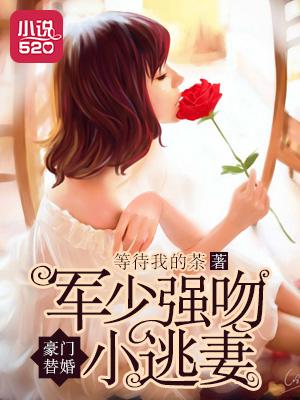 豪门替婚:军少强吻小逃妻