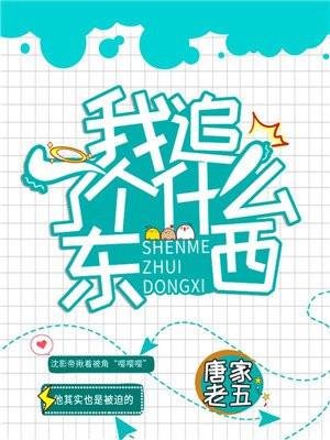 我追了个什么东西?