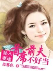 坠入妻途:首席前夫不好当