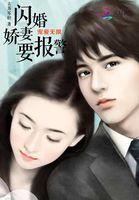 宠爱无限:闪婚娇妻要报警