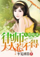 大婚晚成:律师大人惹不得