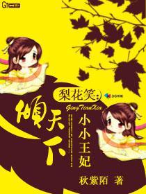 梨花笑:小小王妃倾天下