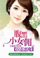 误惹恶魔:腹黑小女佣
